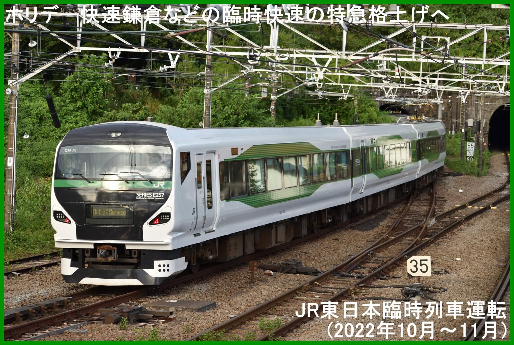 ホリデー快速鎌倉などの臨時快速の特急格上げへ JR東日本臨時列車運転(2022年10月~11月) | 鉄道時刻表ニュース