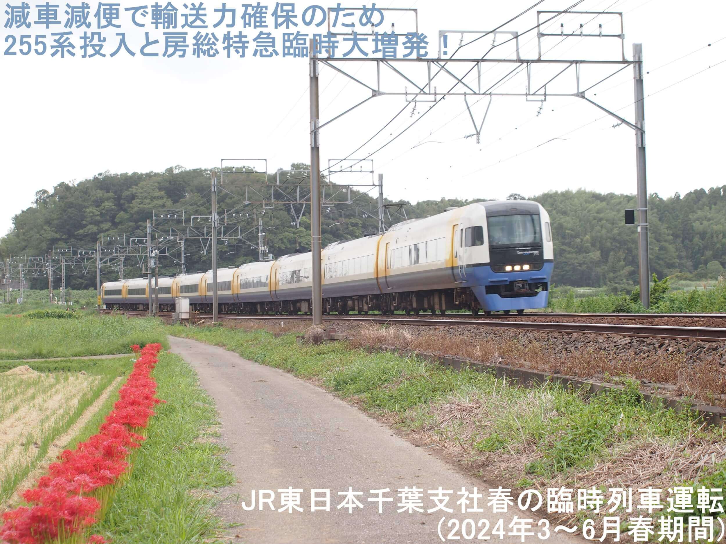 減車減便で輸送力確保のため255系投入と房総特急臨時大増発！　JR東日本千葉支社春の臨時列車運転(2024年3～6月春期間)