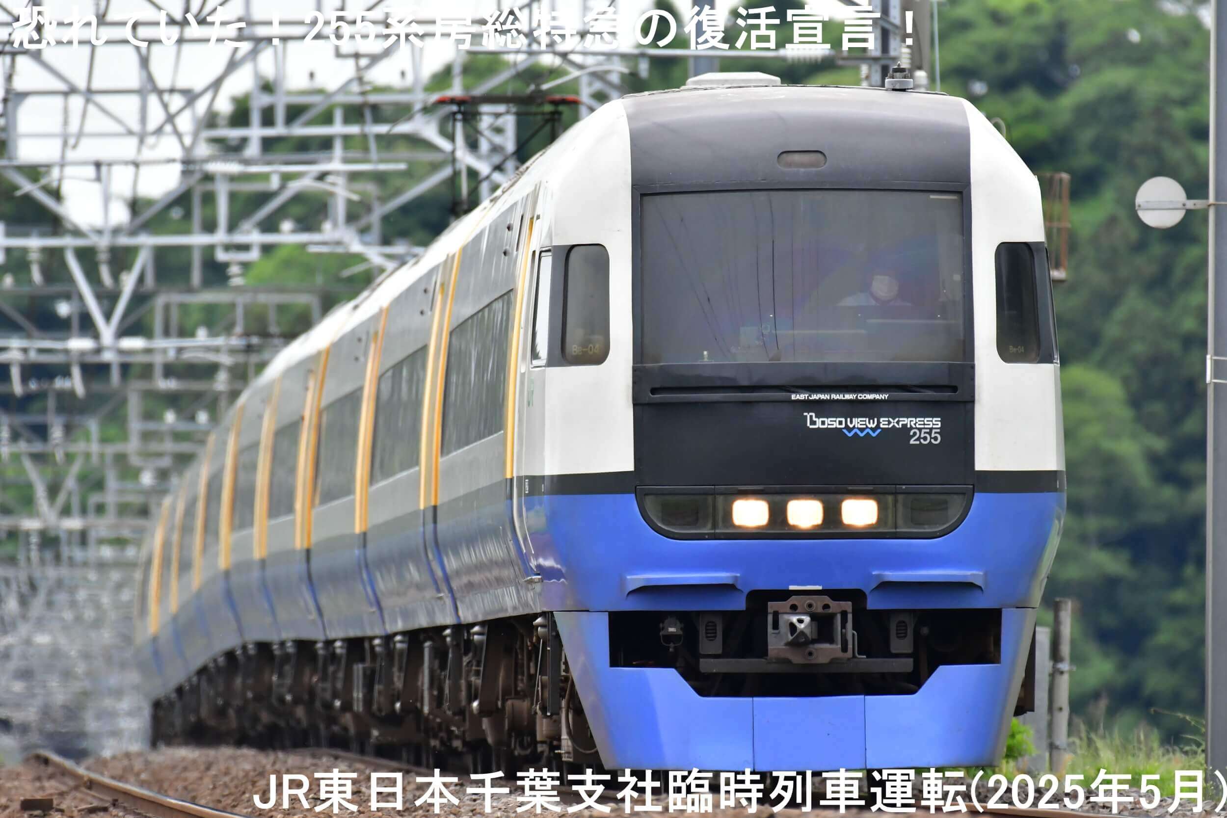恐れていた！255系房総特急の復活宣言！　JR東日本千葉支社臨時列車運転(2025年5月)
